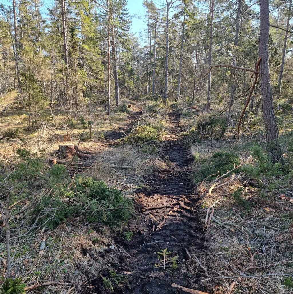 Gotlandsträff 3–9 oktober
